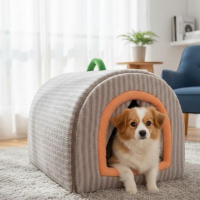 Niche pour Chien interieur gris sur moquette grise avec moyen chien regardant l'objectif