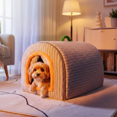 Niche pour Chien interieur gris su moquette blanc avec chien moyen couché regardnt l'objectif heureux