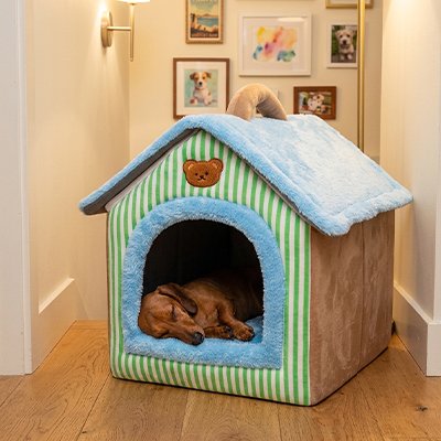 Niche pour Chien interieur