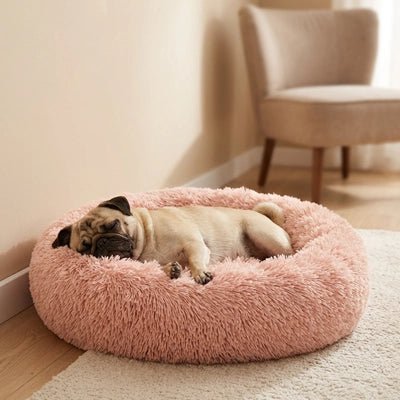 Panier Chien | Confort Optimal - Dogscie