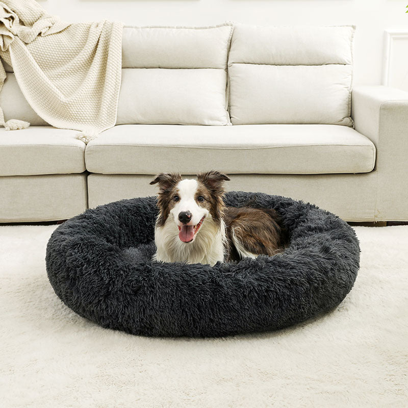 Panier Chien | Confort Optimal - Dogscie