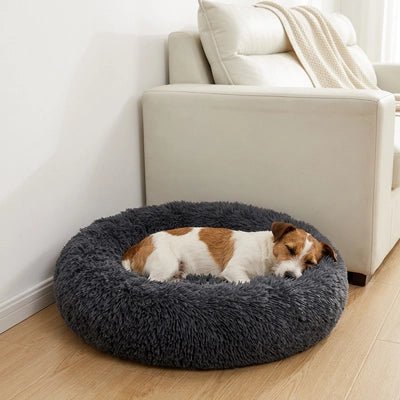 Panier Chien | Confort Optimal - Dogscie