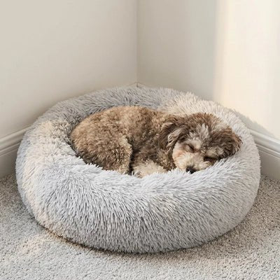 Panier Chien | Confort Optimal - Dogscie