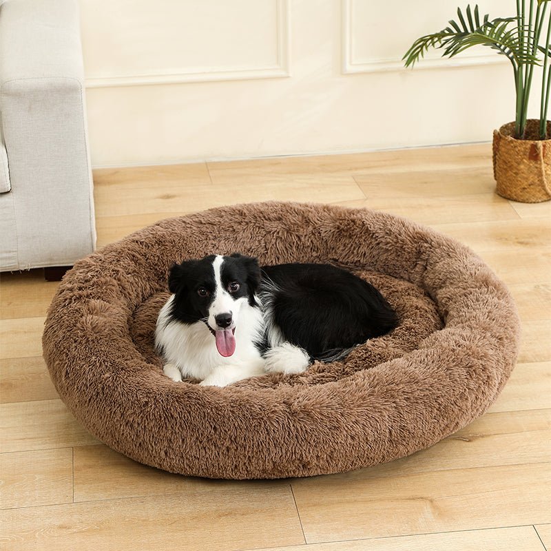 Panier Chien | Confort Optimal - Dogscie