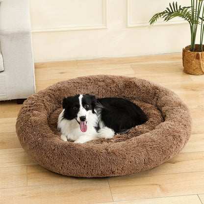 Panier Chien | Confort Optimal - Dogscie