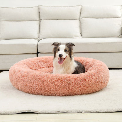 Panier Chien | Confort Optimal - Dogscie