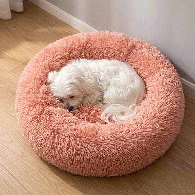 Panier Chien | Confort Optimal - Dogscie