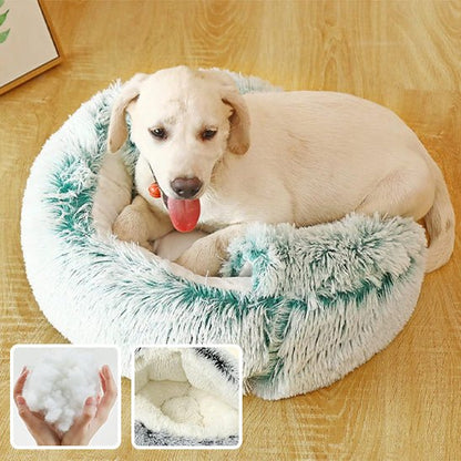 Panier chien | Confortable Design - Dogscie