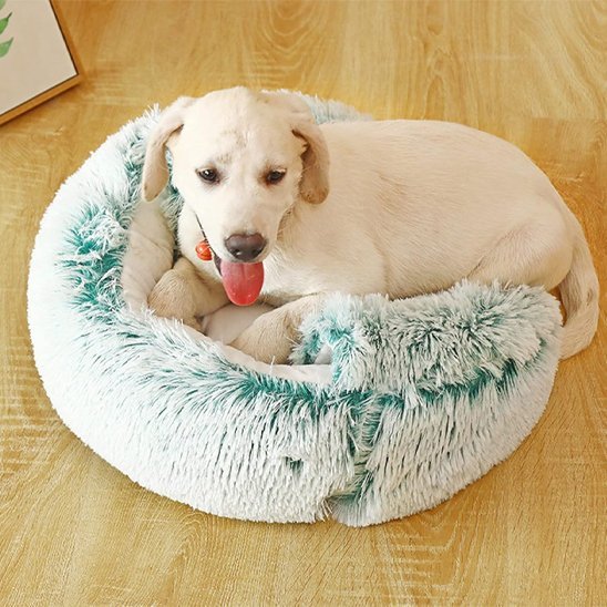 Panier chien | Confortable Design - Dogscie