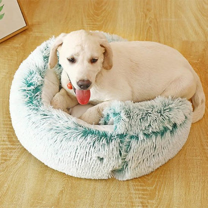 Panier chien | Confortable Design - Dogscie