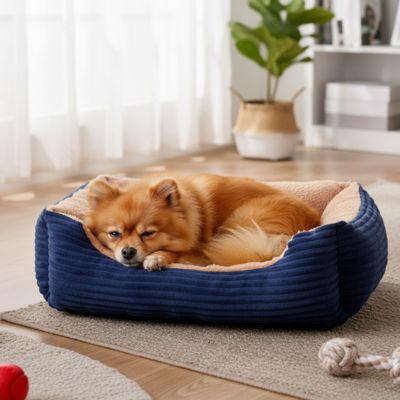 Panier Chien | Confortable et Lavable - Dogscie