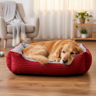 Panier Chien | Confortable et Lavable - Dogscie