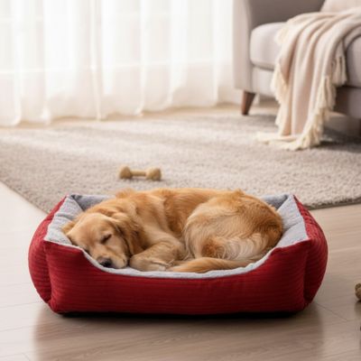Panier Chien | Confortable et Lavable - Dogscie