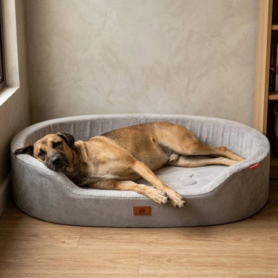 Panier Chien gris sur planchers de bois dans salon avec grand danois couché allonger dormant paisiblement