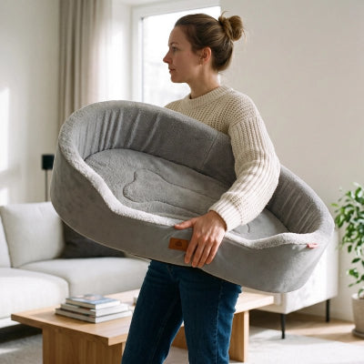 Panier Chien gris vide avec maîtresse tenant et marchant dans le salon pour aller installer le panier