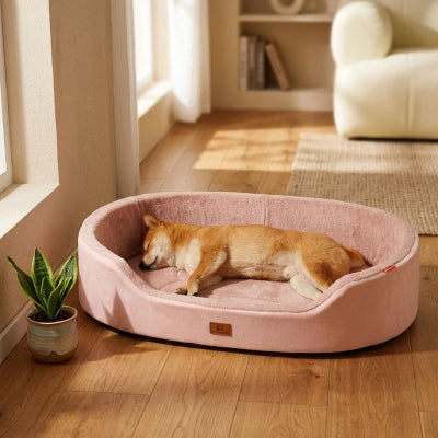 Panier Chien rose sur planchers de bois du salon avec chien beige allonger dormant  paisiblement