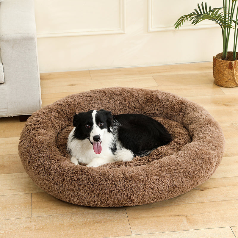 Panier Chien