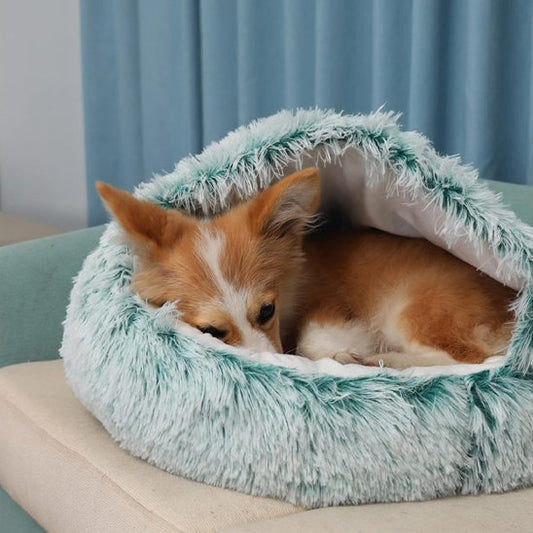 Panier chien