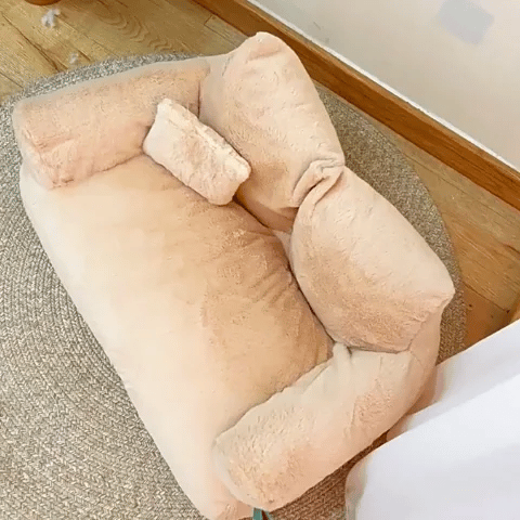 Panier pour chien | Confort Design - Dogscie