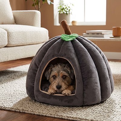 Panier pour Chien | Confort Douillet - Dogscie