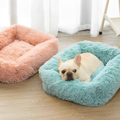 Panier pour chien | Confort Douillet - Dogscie