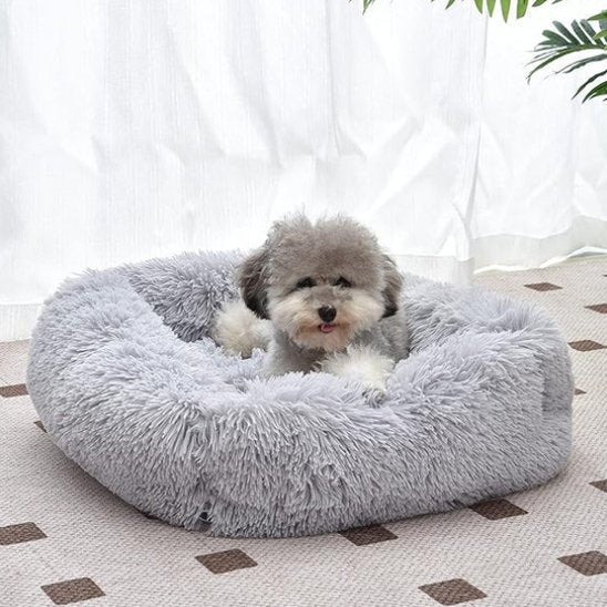 Panier pour chien | Confort Douillet - Dogscie