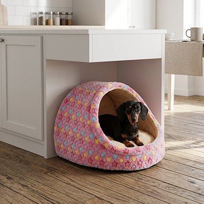 Panier pour Chien | Confort Sécurité - Dogscie