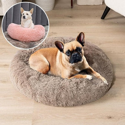 Panier pour chien | Confortable et Design - Dogscie