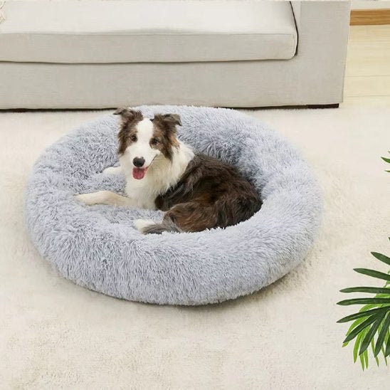 Panier pour chien | Confortable et Design - Dogscie