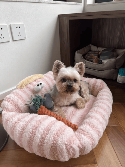 Panier pour Chien | Confortable et Design - Dogscie