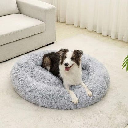 Panier pour chien | Confortable et Design - Dogscie