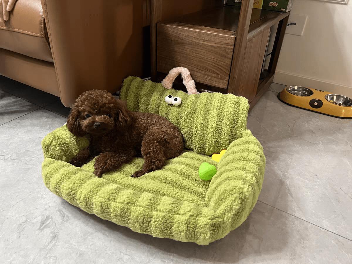 Panier pour Chien | Confortable et Design - Dogscie
