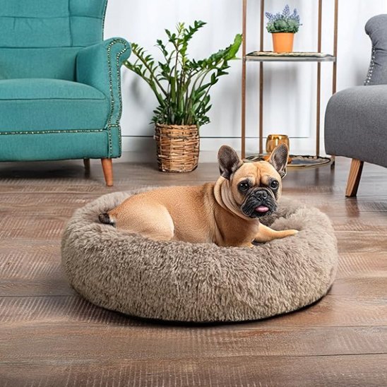 Panier pour chien | Confortable et Design - Dogscie