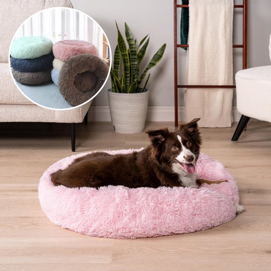 Panier pour chien | Confortable et Design - Dogscie