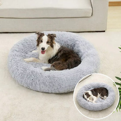 Panier pour chien | Confortable et Design - Dogscie