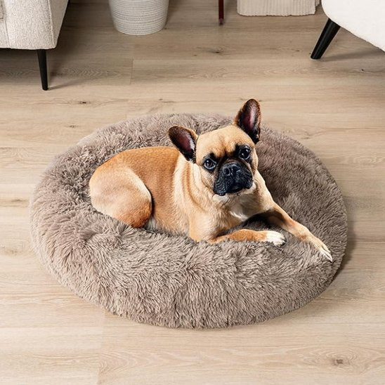 Panier pour chien | Confortable et Design - Dogscie