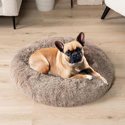 Panier pour chien | Confortable et Design - Dogscie