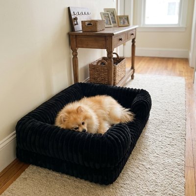 Panier pour chien | Confortable et Résistant - Dogscie