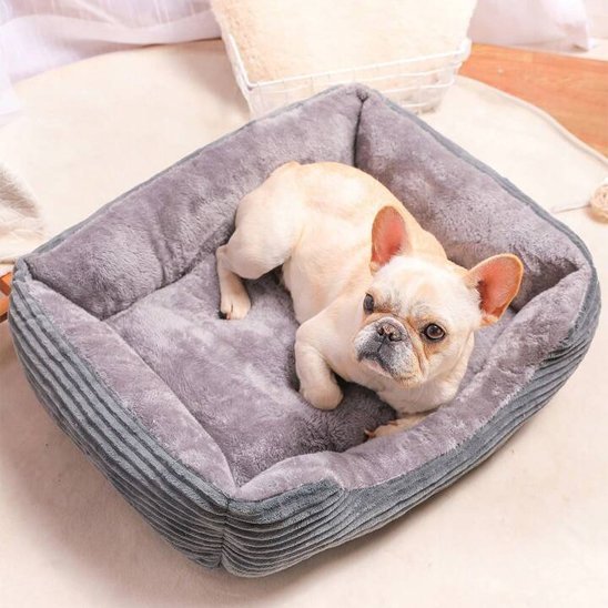 Panier pour chien | Douillet et Lavable - Dogscie