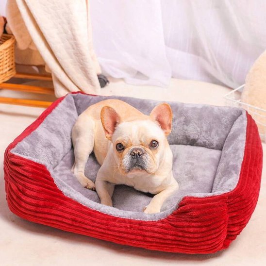 Panier pour chien | Douillet et Lavable - Dogscie