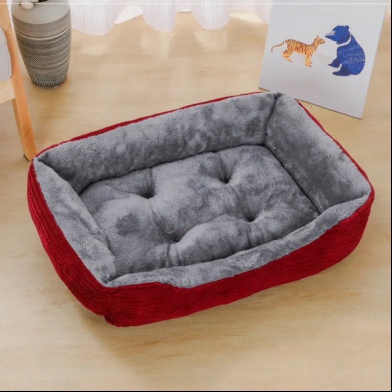 Panier pour chien | Douillet et Lavable - Dogscie