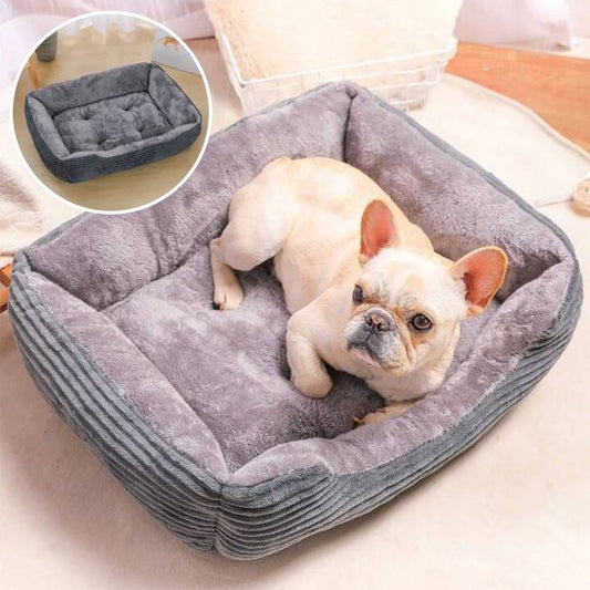 Panier pour chien | Douillet et Lavable - Dogscie