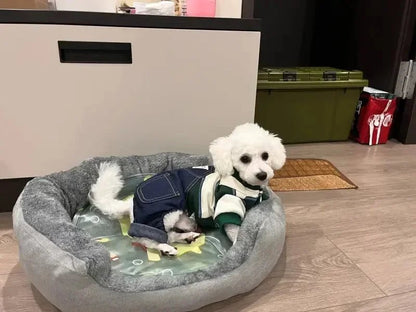 Panier pour chien | Douillet et Résistant - Dogscie