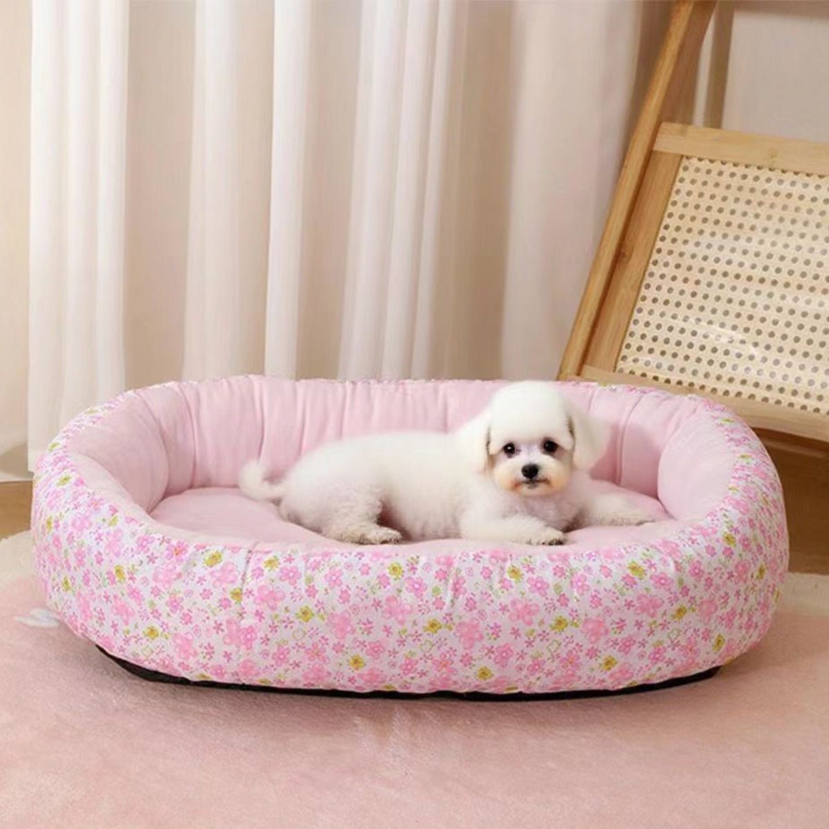 Panier pour Chien | Douillet et Résistant - Dogscie