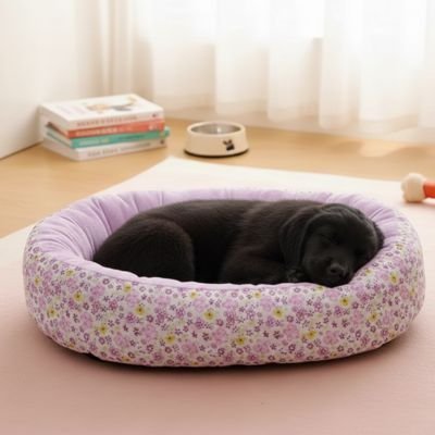 Panier pour Chien | Douillet et Résistant - Dogscie