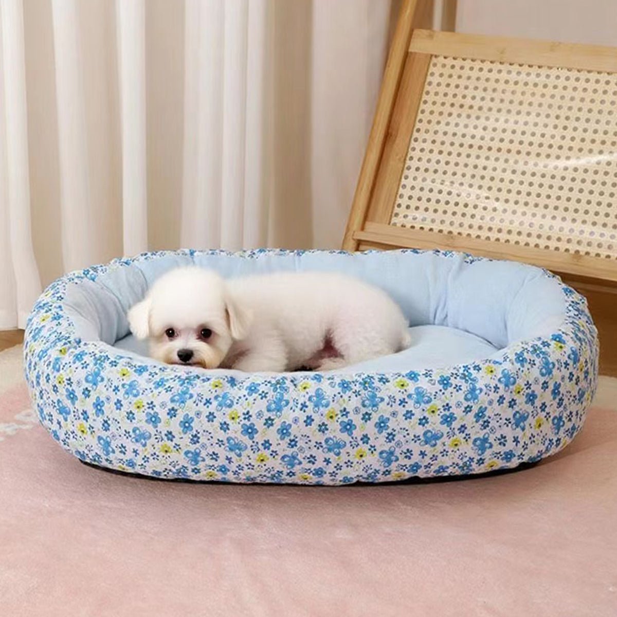 Panier pour Chien | Douillet et Résistant - Dogscie
