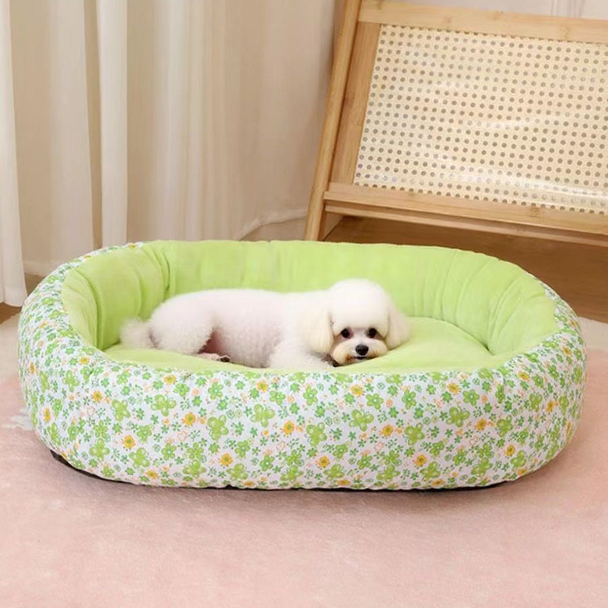 Panier pour Chien | Douillet et Résistant - Dogscie