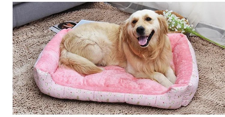 Panier pour chien | Douillet et Résistant - Dogscie