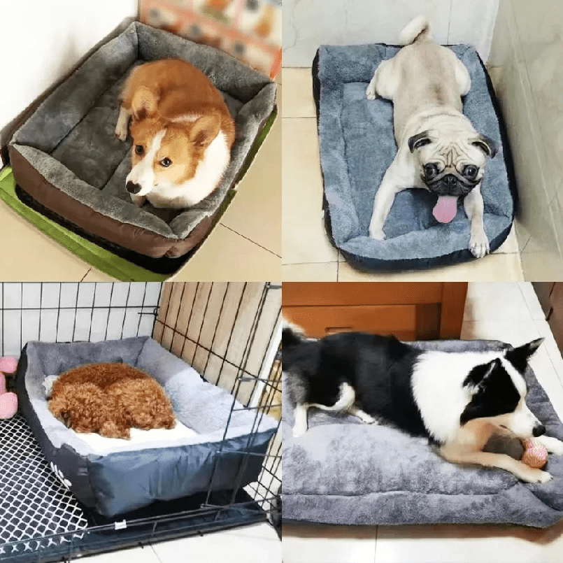 Panier pour chien | Douillet et Résistant - Dogscie