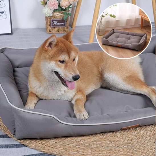 Panier pour chien | Ultra Confortable - Dogscie